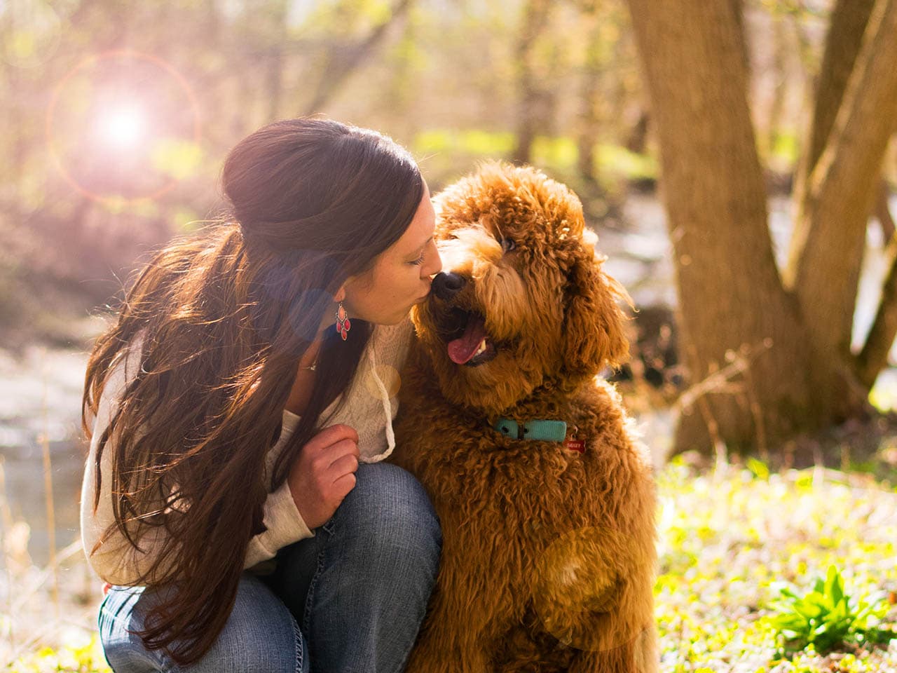 animal assisted therapy dog